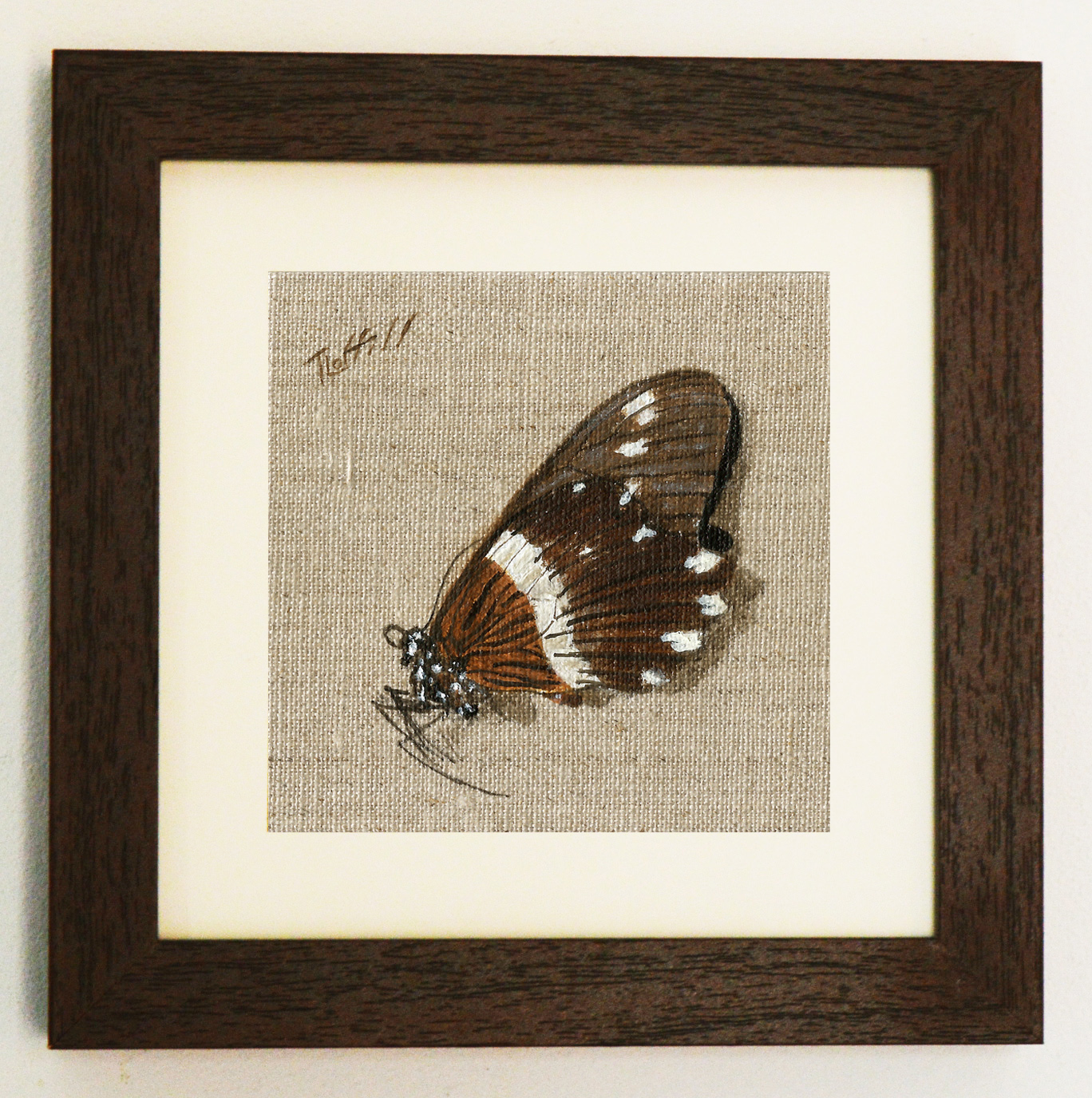 butterflyframed6